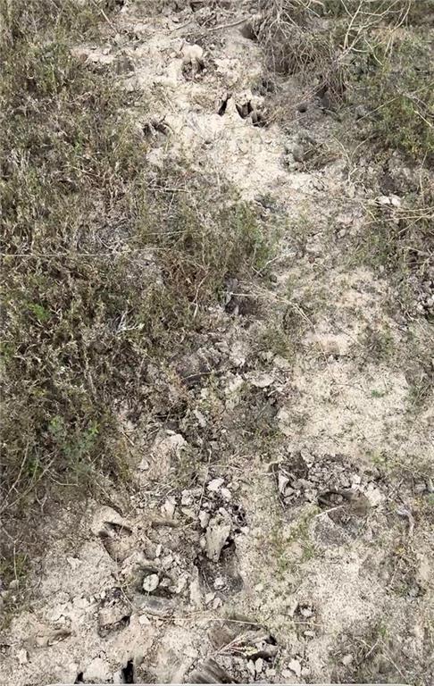 Photo 12 of Tract 1 Fernando East Road