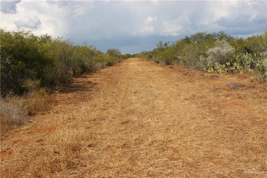 Photo 4 of 0 FM 339 Highway