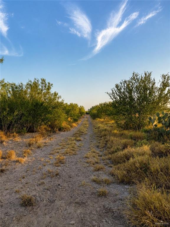 Photo 11 of 00001 FM 3167