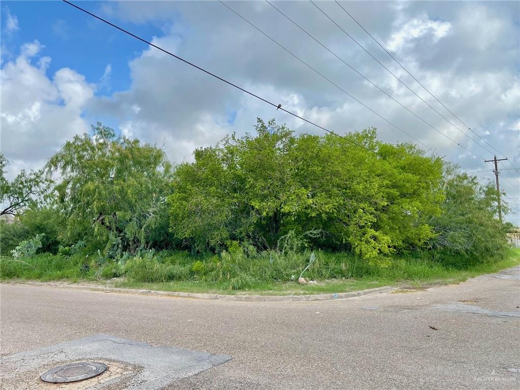 Land home at TBD Palm Street, Progreso, Texas