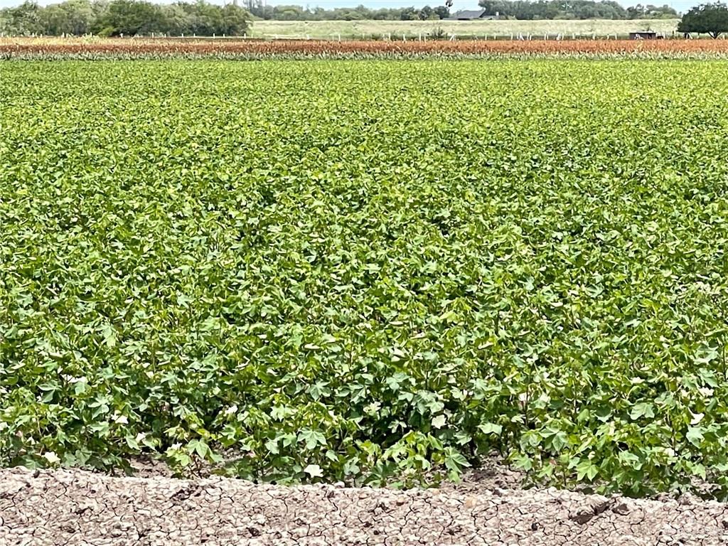 Photo 4 of TBD Baker Drive