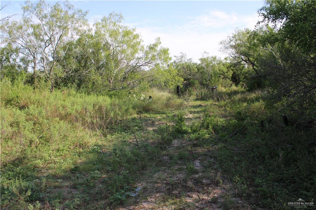 Photo 11 of 654 654 CR 3081 Road