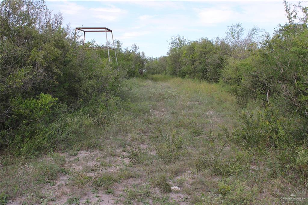 Photo 6 of 654 654 CR 3081 Road
