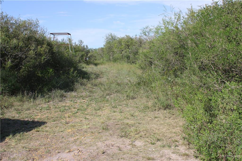 Photo 9 of 654 654 CR 3081 Road